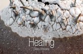 Healing - keramiekspiraal.files.wordpress.com · Het boek “Healing” is ook te koop ! De bestellingen kunnen gebeuren via spiraal@telenet.be. Graag vooraf betalen op volgend …