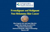 Premalignant and Malignant Non-Melanoma Skin … and Malignant Non-Melanoma Skin Cancer Elise Grgurich, D.O. and Lanny Dinh, D.O. Lehigh Valley Health Network/PCOM Department of Dermatology