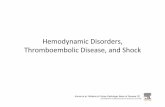 4 Hemodynamic Disorders, Thromboembolic Disease, and …didattica.uniroma2.it/assets/uploads/corsi/15675/4_Hemodynamic... · Hemodynamic Disorders, Thromboembolic Disease, and Shock