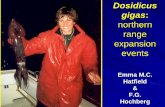 northern expansion events - SOEST Yakutat 34º00 ... 28 August 25 July 2002 Strandings. June 2002 MEXICO: La Paz. July 2002 CALIFORNIA: ... Eric Hochberg Created Date: