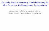A summary of the proposed rule to delist the GYE grizzly ...igbconline.org/wp-content/uploads/2016/03/160414_Delisting... · Grizzly bear recovery and delisting in the Greater Yellowstone