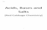 Acids, Bases and Salts - High Tech Highdp.hightechhigh.org/~cchen/Kitchen Chemistry/1-Acids, Bases, Salts... · Section Describing Acids and Bases Reading Preview Key Concepts What