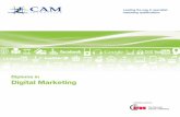 Diploma in Digital Marketing - Easyfairs · The Diploma in Digital Marketing gives you ... • Marketing and Consumer Behaviour ... • Understand the marketing planning