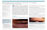 Management of Skin Cancer in Organ Transplant Recipients · Management of Skin Cancer in Organ Transplant Recipients by ... c l inap r te g od s, ... (squamous and basal cell carcinoma),