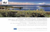Salmonicultura en los Lagos del Sur de Chile - Ecorregión ...assets.panda.org/downloads/2007salmoniculturajunio.pdf · Pasado y presente de las cuencas lacustres del sur de Chile