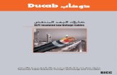 2 BICC - Electromec Insulated Low Voltage Cables.pdf · values based on iec 60502-1. 18 bicc stranded copper & aluminium conductors - single core cables dimension and weights unarmoured