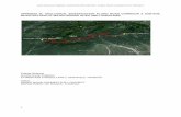 APPENDIX III: GEOLOGICAL INVESTIGATION … subsoil investigation report: sasec road connectivity project 1 appendix iii: geological investigation along road corridor & sub-soil