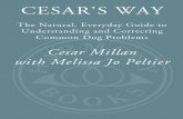 Cesar's Way - The Puppy Network- Your source for puppy ... · Cesar explains what is creating the problem in a way that every dog owner can understand. His personality, warmth, and