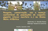 Resgate, conservação, uso e manejo sustentável de ...€¦ · Resgate, conservação, uso e manejo sustentável de populações de coqueiro gigante (Cocos nucifera L.) no Bioma
