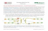 Part III: Modeling Neurotransmission – A Cholinergic Synapsecbm.msoe.edu/markMyweb/ddtyResources/documents/... · MSOE Center for BioMolecular Modeling Synapse Kit: Section 3-6
