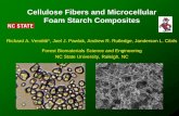Cellulose Fibers and Microcellular Foam Starch Compositesrichardv/documents/ACSstarchfibercomposites.pdf · Cellulose Fibers and Microcellular Foam Starch Composites Richard A. Venditti*,