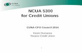 NCUA 5300 for Credit Unions 5300 for Credit Unions ... credit union has the positive intent and ability to hold ... investments not listed above in the same maturity classification