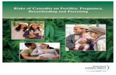 Risks of Cannabis on Fertility, Pregnancy, Breastfeeding ... · Cannabis smoke contains many of the same harmful chemicals found in cigarette smoke. ... and slower growth ... are