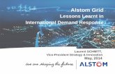 Lessons Learnt in International Demand Response - …iiesi.org/assets/pdfs/copenhagen_schmitt.pdf · Lessons Learnt in International Demand Response . ... (MMS) Manage Optimize ...