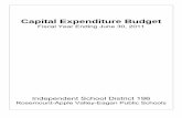 Capital Expenditure Budget - Template.net Expenditure Budget Fiscal Year Ending June 30, ... We are estimating less operating capital revenue this year than last with a very small