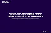 How do families who receive the CCTB and NCB spend the …martinprosperity.org/media/CCTB-and-NCB-Family-Spending.pdf · How do families who receive the CCTB and ... often have multiple