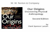 Our Origins - Welcome to Anthropology - Homecmilner-rose.com/files/milnerroseoopp6.pdfArboreal Adaptation – Primates have a versatile skeletal structure ... mammals. – Humans have