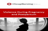 Violence During Pregnancy and Postpartum · Violence During Pregnancy and Postpartum . ... As in the case of violence during pregnancy, ... (Martin et al., 2001; Charles & Perreira,