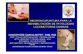 NEUROACUPUNTURA PARA LA REHABILITACIÓN DE … · rapida respuesta del sistema nervioso acupuntura + rehabilitacion ... del tratamiento rehabilitador ... moquillo en fase neural,