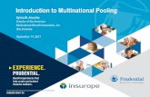 Introduction to Multinational Pooling Alvarino... · one-country pool. 10 ... • Standardized risk solution ... The importance of pooling in placing local business.