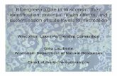 Blue-green algae in Wisconsin: their identification ... · Blue-green algae in Wisconsin: their identification, potential health effects, and determination of safe levels for recreation