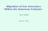 Migration of our Ancestors Within the American ??2018-01-24Migration of Our Ancestors Within the American Colonies Jane Magill July 19, ... â€¢Dutch West Indies Co. encouraged