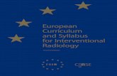 European Curriculum and Syllabus for Interventional Radiology · European Curriculum and Syllabus for Interventional Radiology 2 ... Afshin Gangi Klaus Hausegger ... European Curriculum