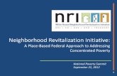 Neighborhood Revitalization Initiative - etouches€¦ · Development of a revitalization plan ... neighborhood revitalization initiative: online resources 25 . Title: PowerPoint