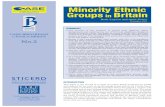 Minority Ethnic - STICERDsticerd.lse.ac.uk/dps/case/CBCB/census2_part1.pdf · of minority ethnic groups, ... •This population growth took place in the context of continuing counter-urbanisation