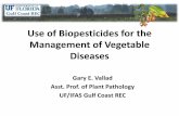 Bio-based Strategies for the Management of Vegetable spp. â€¢ Trichoderma ... â€¢ Parasite of numerous soilborne fungal pathogens ... Bio-based Strategies for the Management