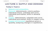 LECTURE 3: SUPPLY AND DEMAND - AGSM slightly differentiated goods or services. ... Ice-cream price Quantity demanded by Cate/period ... equilibrium quantity is reduced but price is