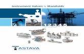 Instrument Valves Manifolds - ASTAVA hook-ups and interlocking solutions for critical conditions and temperatures. ... the bonnet design prevents stem blowout, ... fluid. For fugitive