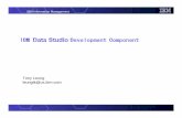 IBM Information Management - TRIDUG Development Studio Local ... • DB2 for zOS • Infomix PL/SQL ... IBM Information Management Export to file system