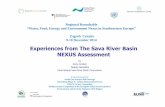 Experiences from The Sava River Basin NEXUS Assessment · Experiences from The Sava River Basin NEXUS Assessment by Samo Grošelj Deputy Secretary International Sava River Basin Commission