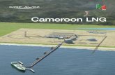 Cameroon LNG - ENGIE · NIGERIA Cameroon LNG Project The Cameroon LNG project will consist of a production plant located 30km south of Kribi on the Southern Coastline