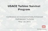 Turbine Survival Program - ALDEN Turbine Workshop/Medina and...Turbine Survival Program Overview ... (kcfs) 101 101 87.3 Reference: Hockersmith, ... • Turbines can be a viable passage