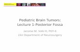 Pediatric Brain Tumors-Posterior Fossa - School of Medicine Brain Tumors... · LSUHSC New Orleans Department of Neurosurgery Pediatric Brain Tumors: Lecture 1‐Posterior Fossa Jerome