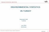 ENVIRONMENTAL STATISTICS IN TURKEY - UNECE STATISTICS IN TURKEY. ... Energy and Transport Statistics Department Environmental Economic Accounts •European Regulation on Environmental