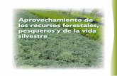 Aprovechamiento de los recursos forestales, …apps1.semarnat.gob.mx/dgeia/informe_resumen/pdf/5_info_resumen.pdfEl aprovechamiento de los recursos forestales no maderables es, en