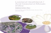 Lowland Heathland / Acid Grassland Mosaic (HAG) · Lowland Heathland / ... woodland also form important components of the heathland mosaic. ... In England only one sixth of the heathland