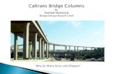 Why So Many Sizes and Shapes? - Caltrans · Bridge layout, spans, architectural features, right of way and column bent location.