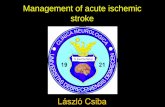 Management of acute ischemic stroke - unideb.huneurologia.med.unideb.hu/sites/neurologia.med.unideb.hu/files/... · EKC O2 reha . Thrombus location ... 515 456 430 383 365 173 176