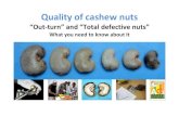 Out-turn and “Total defective nuts” material... · Quality of cashew nuts “Out-turn” and “Total defective nuts” What you need to know about it