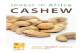 CASHEW INVESTMENT GUIDE 28-09-10 final Investment Guide – African Cashew Alliance‐ October 2010 Page 5 About ACA Background The African Cashew Alliance (ACA) was established in