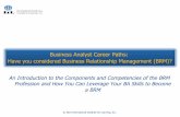 Business Analyst Career Paths: Have you considered … · Have you considered Business Relationship Management ... Over 25 years of Business Analysis and Project Management ... Topics