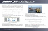 MultiSTEEL Offshore - MultiSUITE Solutions · What is MultiSTEEL Offshore? ... MultiSTEEL also reads and writes to SDNF format files. MultiSTEEL Project: Shell Clipper Platform (British