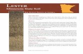 Lester - Soils 4 Teachers · Lester Minnesota State Soil Introduction Many states have designated an official state bird, flower, fish, tree, rock, or natural resource. Similarly,