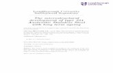 The microstructural development of type 321 Austenitic ... · The microstructural development of type 321 Austenitic Stainless Steel with long term ageing This item was submitted