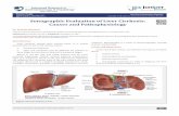 Sonographic Evaluation of Liver Cirrhosis - Juniper … Evaluation of Liver Cirrhosis: ... gastrointestinal and liver physiology 279(1): ... Practice Essentials, Background, Anatomy