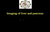 Imaging of liver and pancreas - med.swu.ac.thmed.swu.ac.th/radiology/images/sheet_radio/liver gallbladder and...Anatomy of the liver ... •Physiology: splenomegaly, collateral circulation.